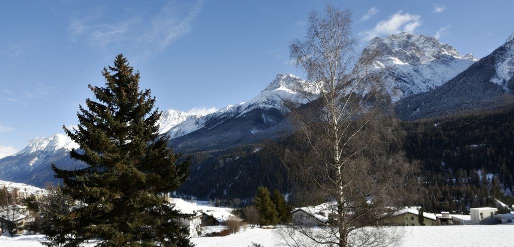 scuol
