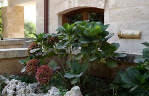 masseria caliani