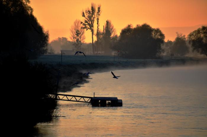 ristorante e pensione la campagnola