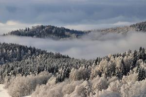 landgasthof zur fichte