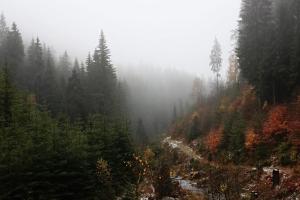 landgasthof zur fichte