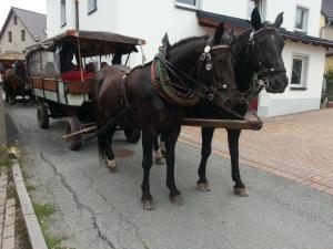 landgasthof zur fichte