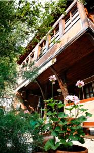 Hotel-Img