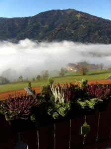 muehlbach am hochkoenig
