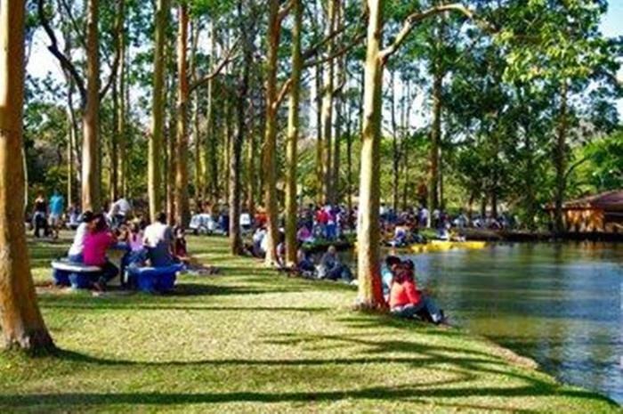 hotel quinta avenida