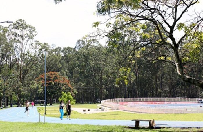 hotel quinta avenida