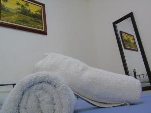 hotel quinta avenida