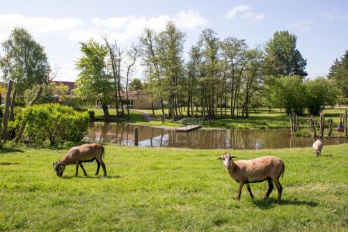 fjelsted skov hotel and konference