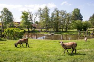 fjelsted skov hotel and konference