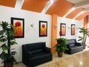 hotel cinera