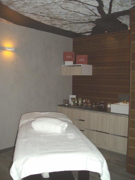 best western plus la fayette hotel et spa a epinal