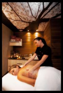 best western plus la fayette hotel et spa a epinal
