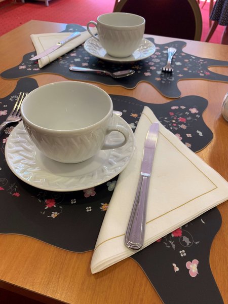 best western plus la fayette hotel et spa a epinal