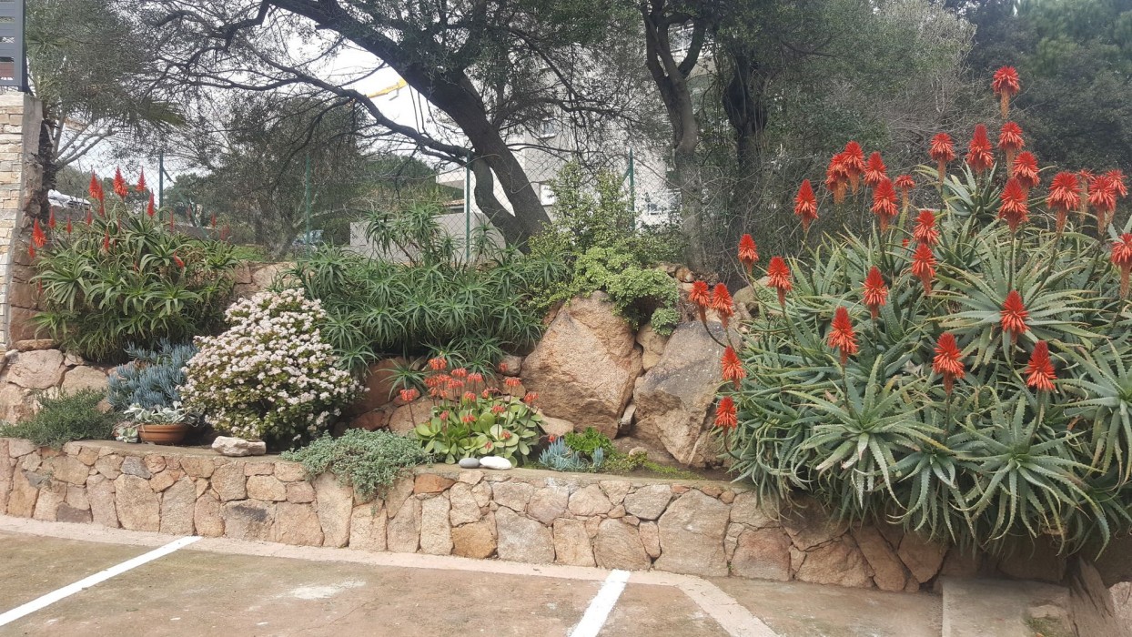 corsica hostel porto vecchio