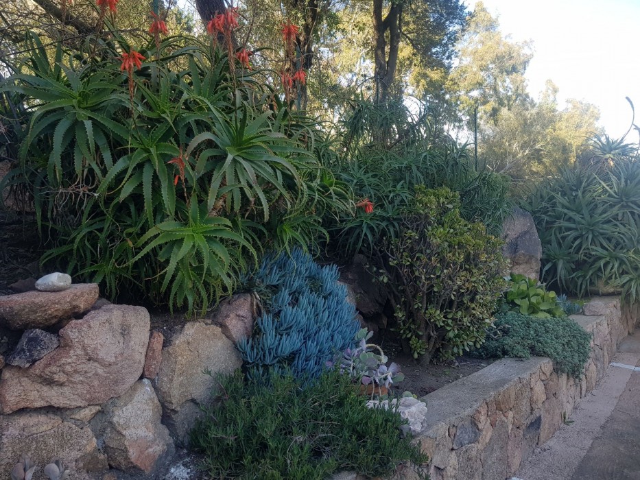 corsica hostel porto vecchio