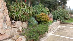 corsica hostel porto vecchio