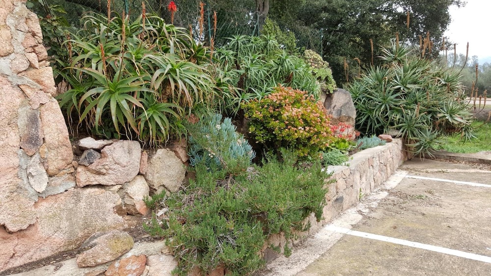 corsica hostel porto vecchio