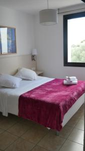 corsica hostel porto vecchio