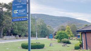halls gap