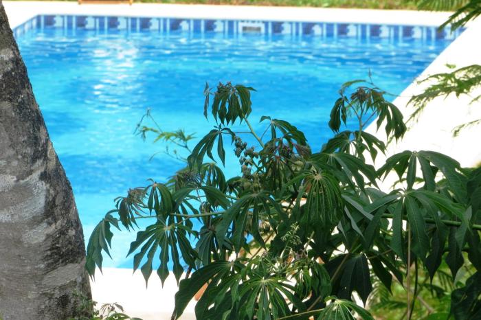 rainforest selva hotel