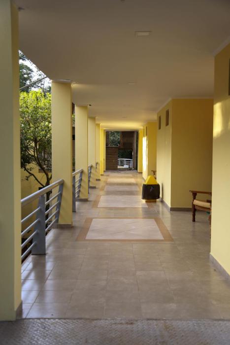 rainforest selva hotel