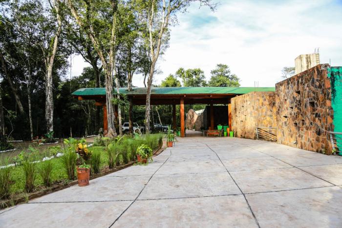 rainforest selva hotel