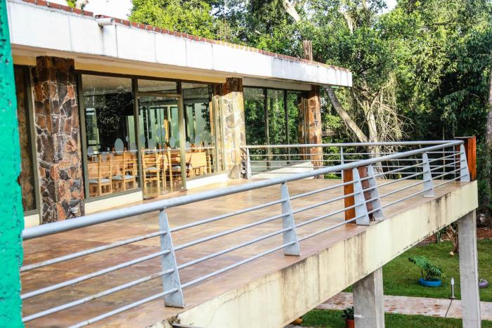 rainforest selva hotel