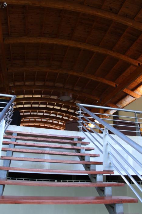 rainforest selva hotel