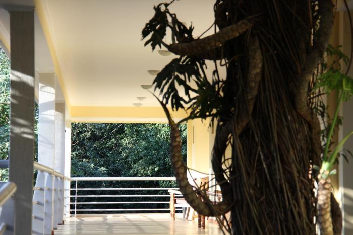 rainforest selva hotel