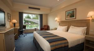 holiday inn cordoba an ihg hotel