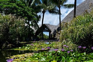 the westin bora bora resort and spa