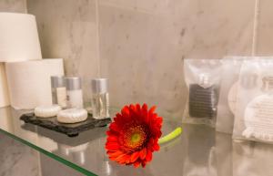 the soho boutique hotel