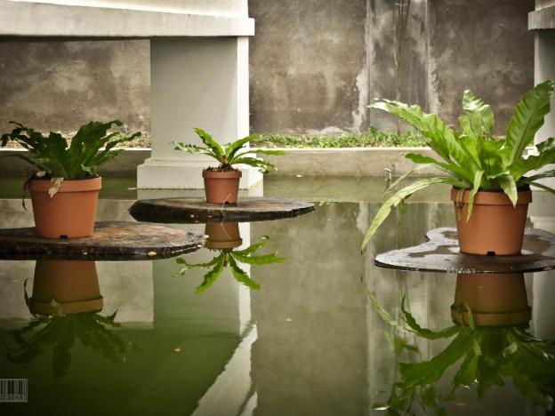 cleon villas pension