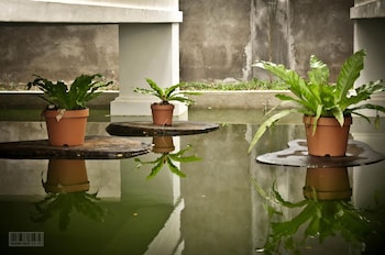 cleon villas pension