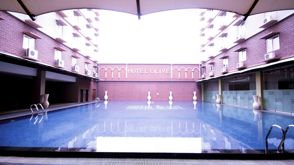 hotel olive
