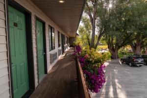 riviera motor lodge