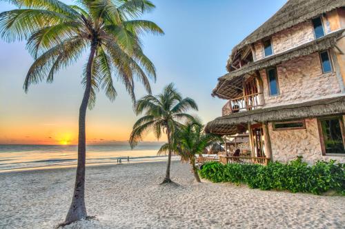 alaya tulum