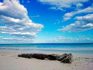 alaya tulum