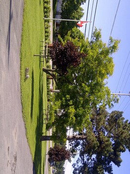 lord nelson motel