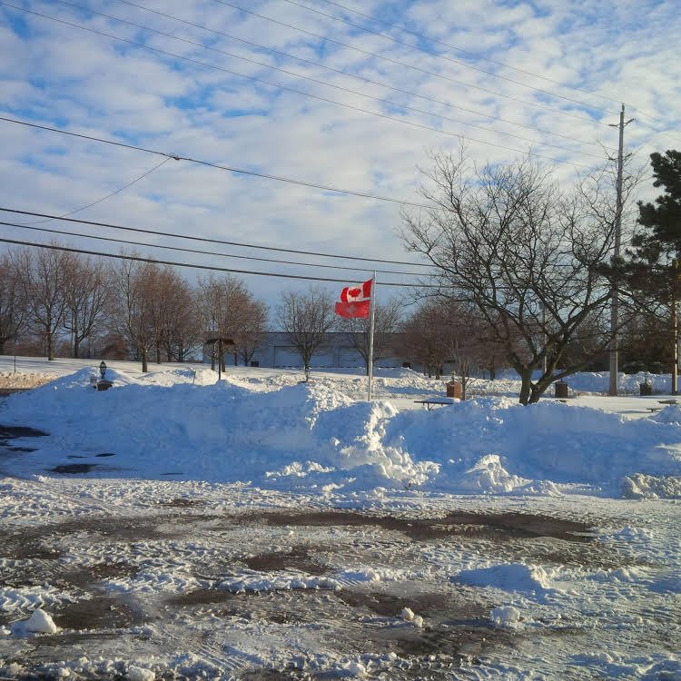 kingston
