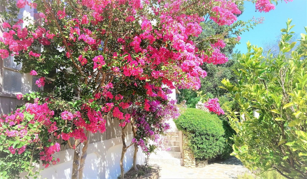 hotel les jardins de bormes sauna and jacuzzi