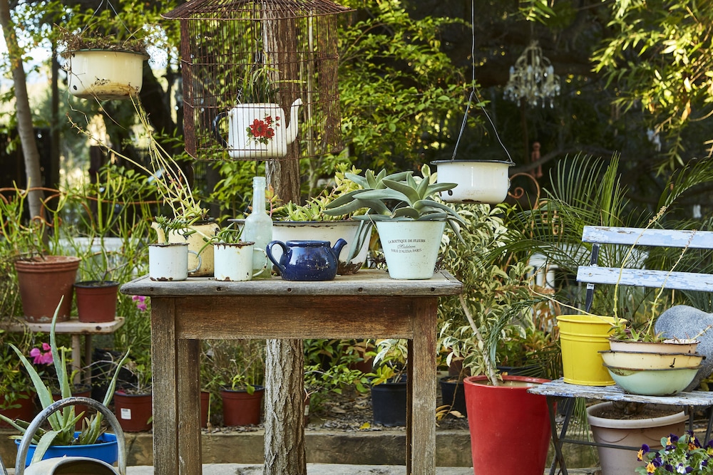 yellow aloe guesthouse