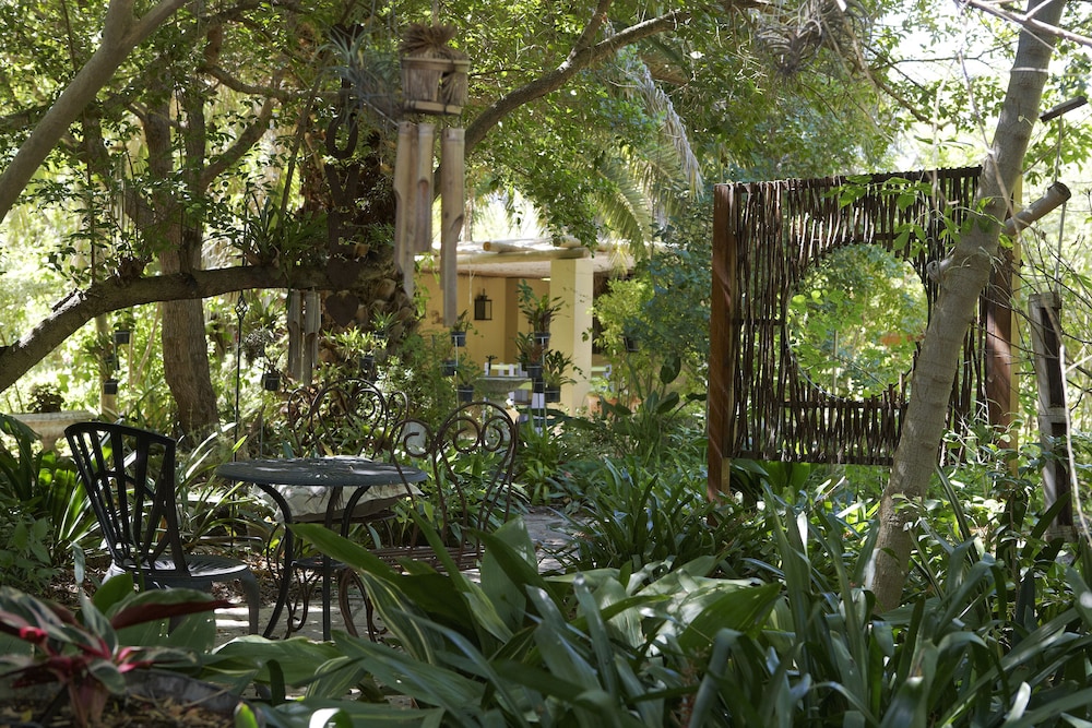 yellow aloe guesthouse