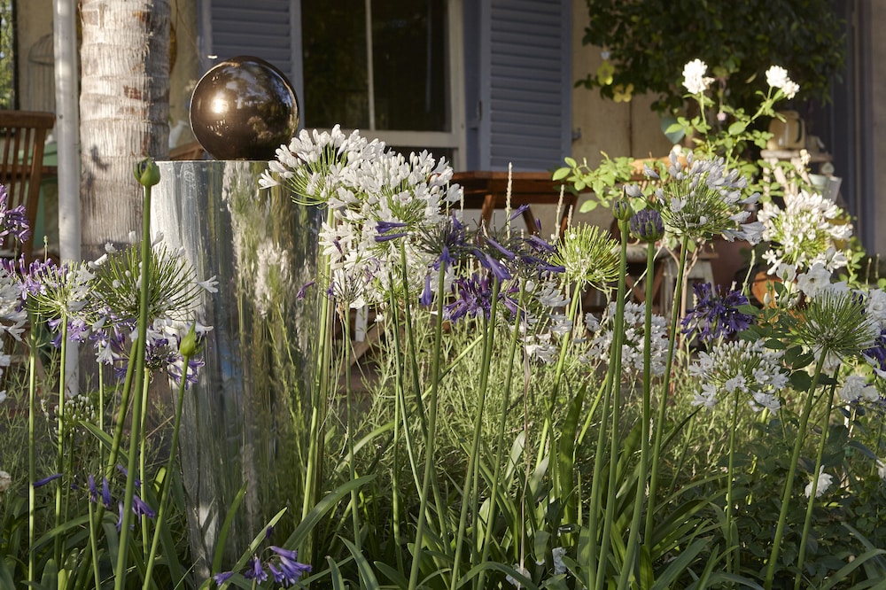 yellow aloe guesthouse