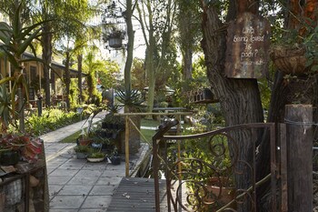 yellow aloe guesthouse