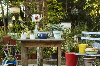 yellow aloe guesthouse