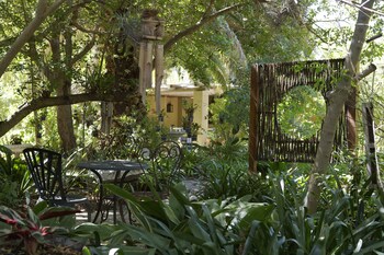 yellow aloe guesthouse