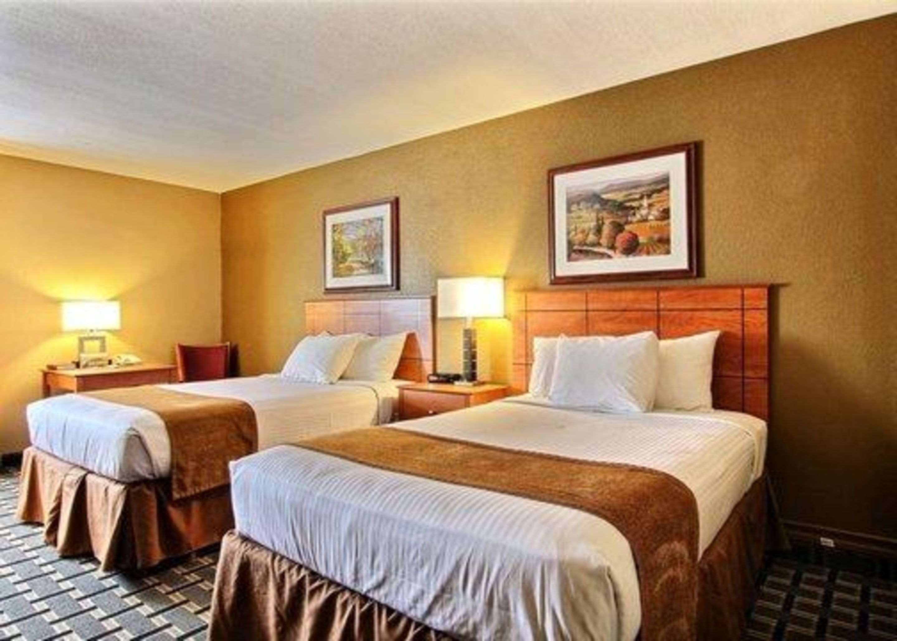 quality inn