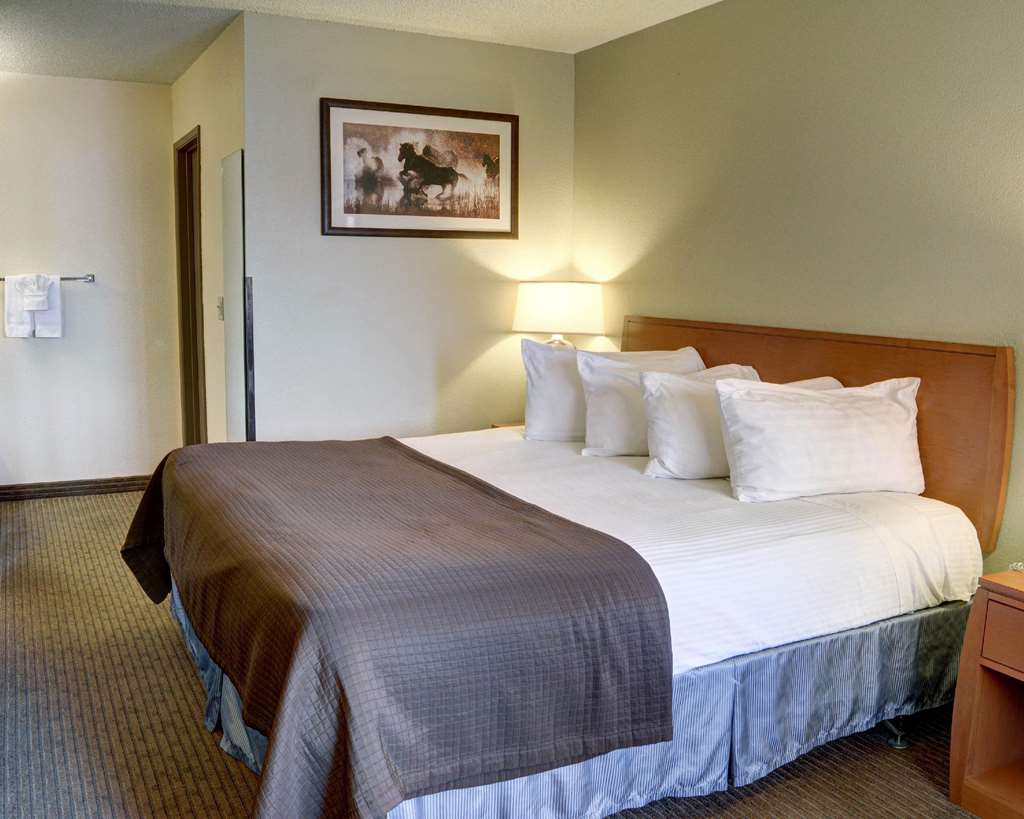quality inn