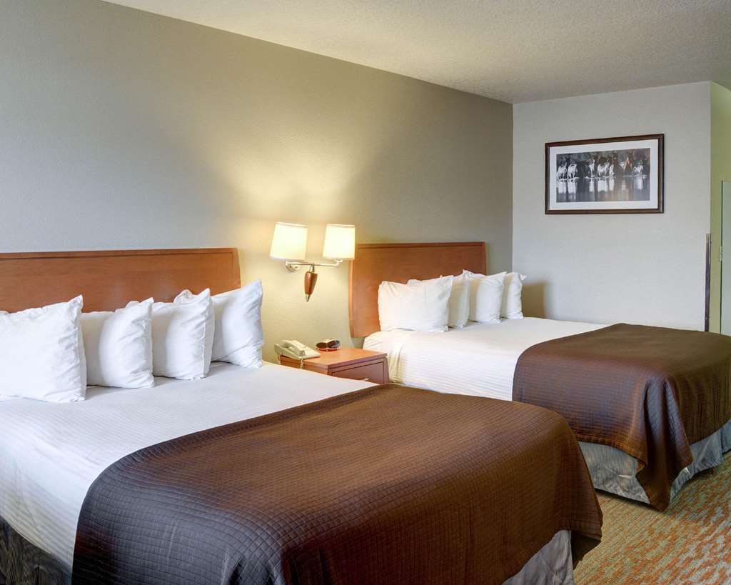 quality inn